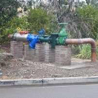 1336370878-IMG_1647.JPG-grid